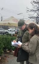 В Черкасах вже виявили нелегальні ялинки