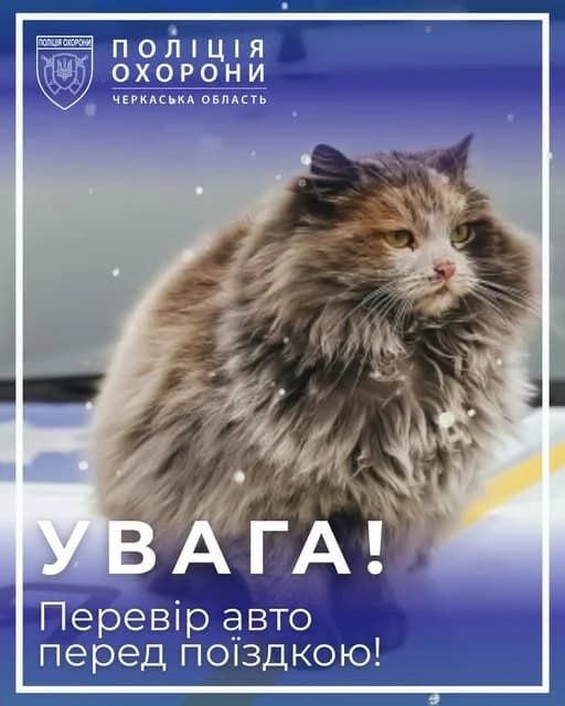 Під капотом може бути котик: поради черкащанам від поліції